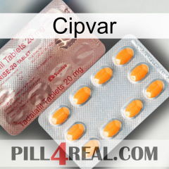 Cipvar new13